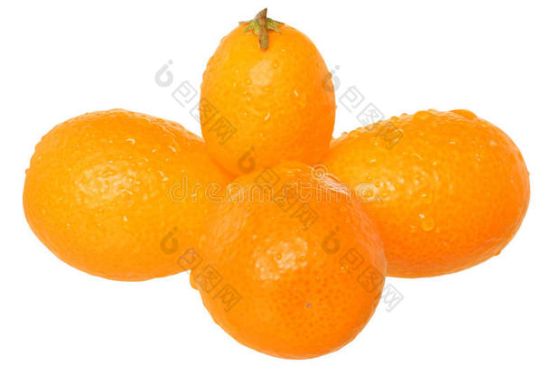 鲜金橘<strong>组团</strong>