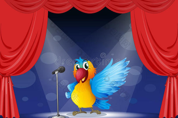 在舞台上表演的彩色鹦鹉