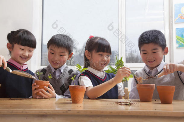 小学生在教室里把植物栽进花盆里