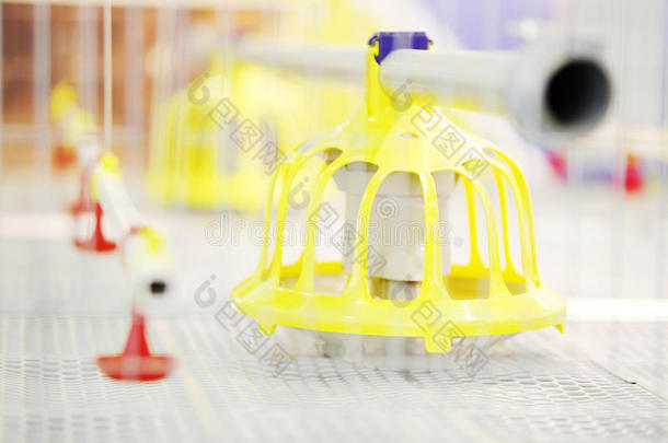 塑料养鸡机在工业孵化器中的应用示范