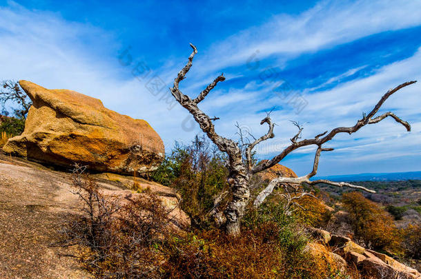 一个美丽的野生西景与一棵多节的枯树，一个土耳其峰在迷人的岩石，得克萨斯州的看法。
