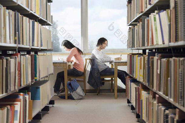 大学生在图书馆做作业