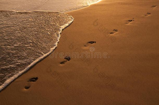 沙滩上金沙的脚步声