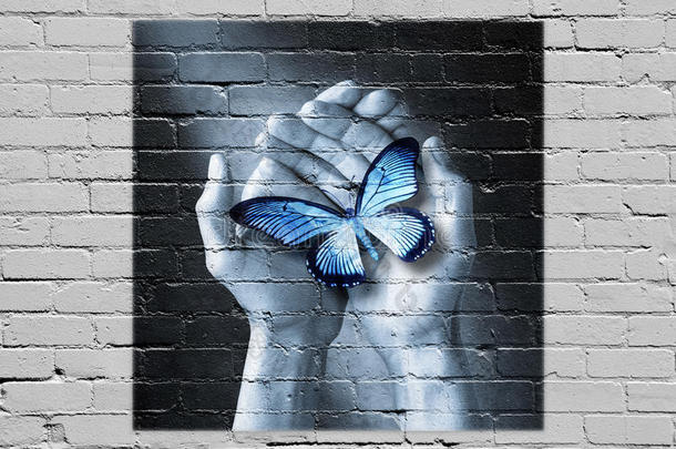 爱蝴蝶涂鸦同情心理希望