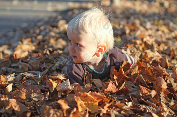 在树叶堆里玩耍的小男孩
