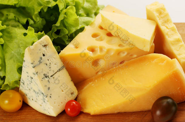 不同类型的奶酪
