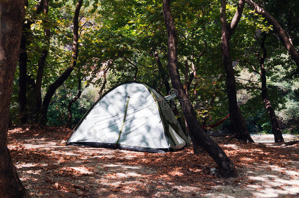 在树林的露营地露营帐篷