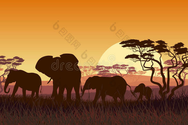 <strong>非洲</strong>日落草原野生动物的水平图解。