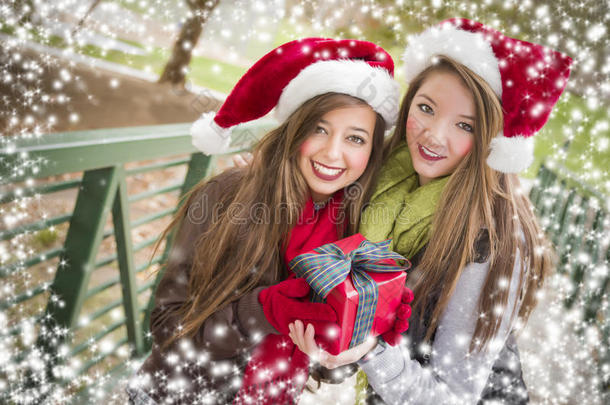 两个微笑的女人拿着一顶包着<strong>gif</strong>的圣诞帽