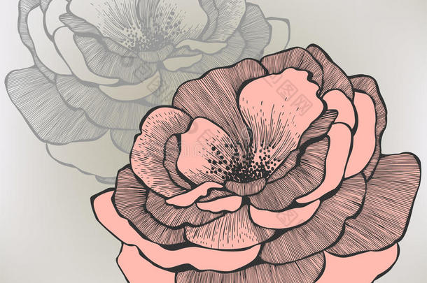 野玫瑰，手绘。矢量插图