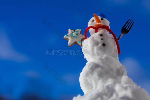 圣诞快乐小雪人与饼干星户外。冬季。