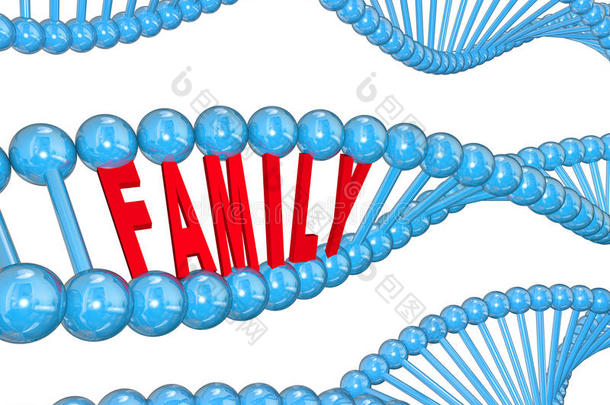 家族词dna链生物学遗传特征