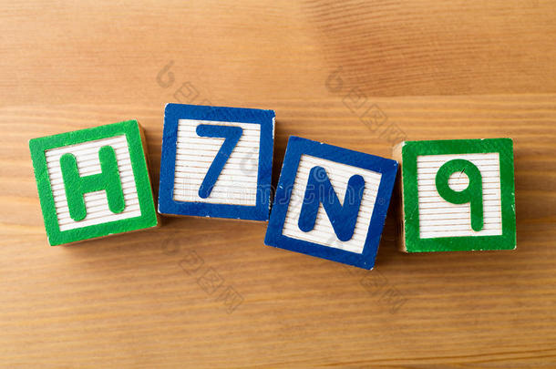 h7n9玩具积木