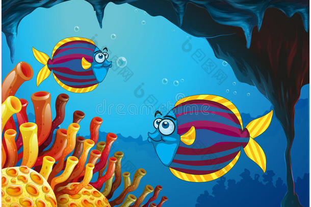 海底洞穴里有两只五颜六色的鱼