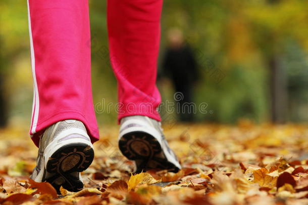 跑腿<strong>跑鞋</strong>。秋天公园里的女子慢跑