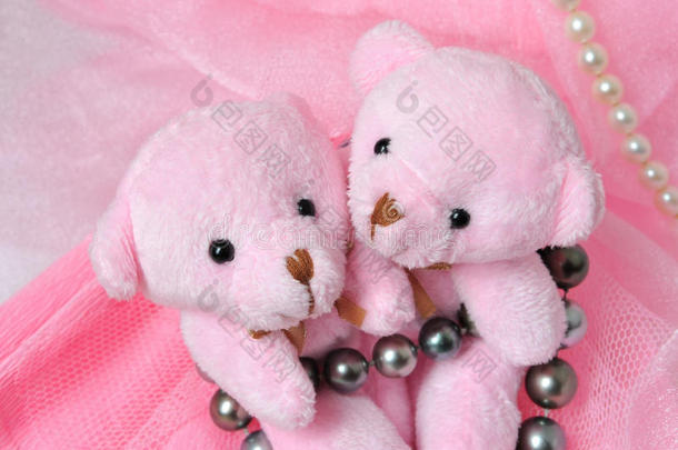两个有趣的粉色泰迪熊，粉色背景，珍珠色