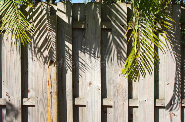 悬挂着棕榈树的木制私密围栏