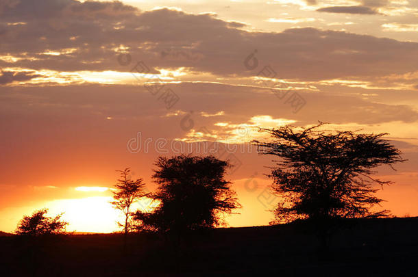 肯尼亚马赛马拉美丽的日落景色