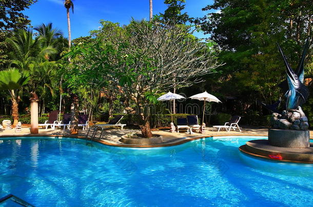 游泳池，酒店内的热带植物，海滩和树木，phra ae海滩，ko lanta，泰国