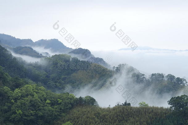 雾和山的<strong>变幻</strong>莫测。