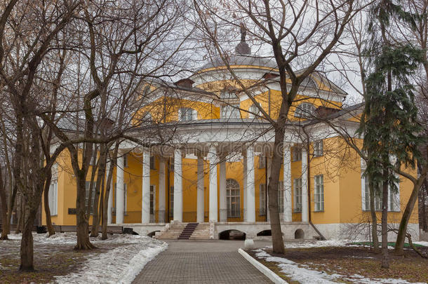 尼古拉·杜拉索夫的宫殿，位于俄罗斯莫斯科市柳比诺区