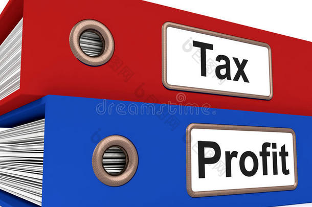 税收利润文件夹显示缴纳所得税
