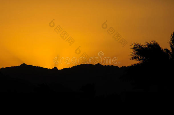 夕阳与沙漠中的山峦和棕榈叶