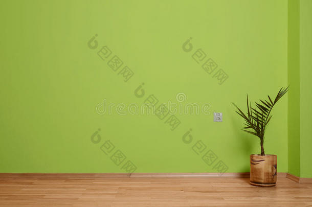 室内有木地板、植物和绿色墙壁，墙壁和木质踢脚板上有电气触点