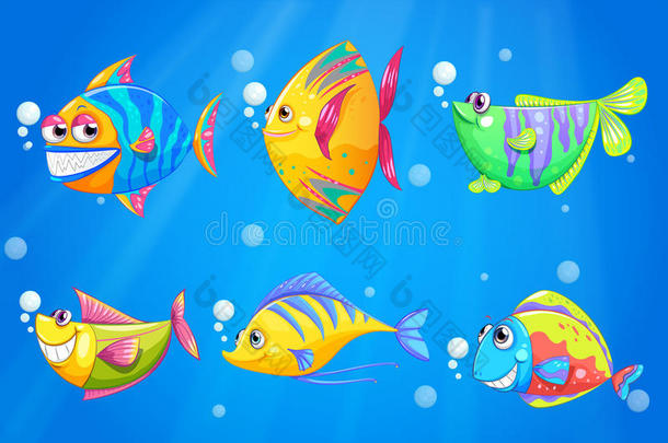 海底五彩缤纷、笑容可掬的鱼儿