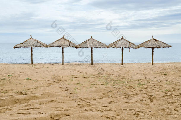 荒滩芦苇上的沙滩伞