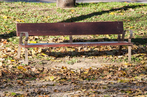 秋天公园的长椅，赫塔菲，马德里
