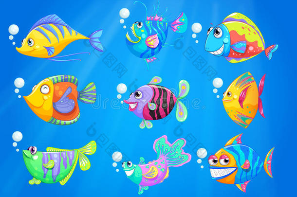 深海下九条五彩缤纷的鱼