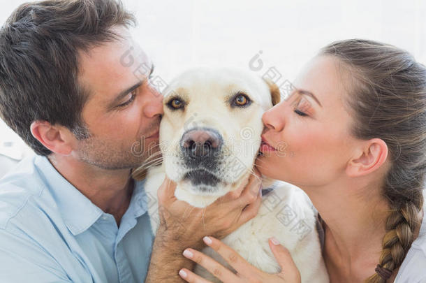 一对幸福的情侣在沙发上亲吻他们的黄色拉布拉多犬