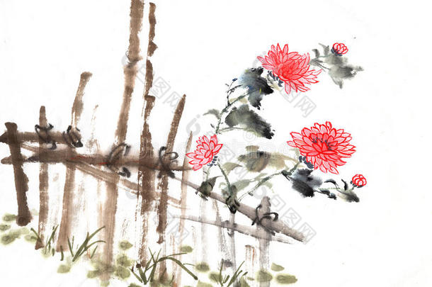 中国菊<strong>花画</strong>