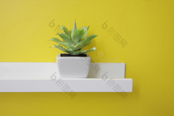 白色架子上的绿色小植物，黄色的墙上
