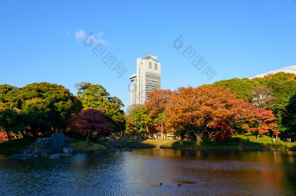 东京秋日的小川korakuen花园