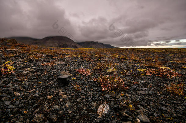 引人注目的冰岛景观，集中在火山熔岩区