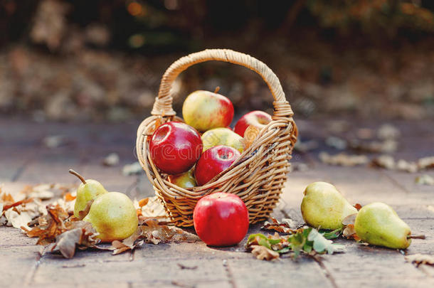 秋日秋日，在大自然的背景下，装满了苹果和梨子