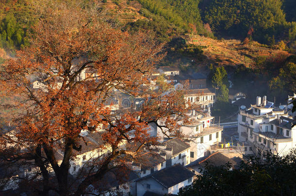 秋天早晨的中国村庄