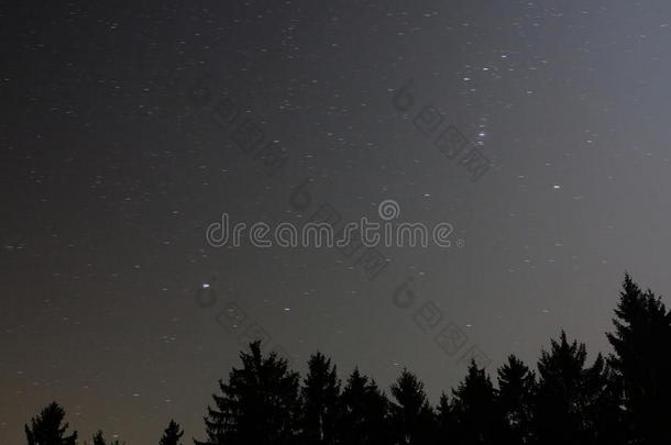 冷杉林夜景星空