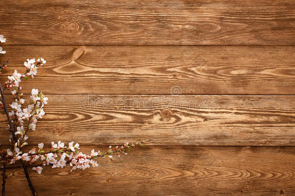 木质纹理背景上的夏季花朵