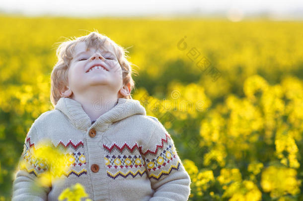 快乐的金发小男孩在黄色的田野上