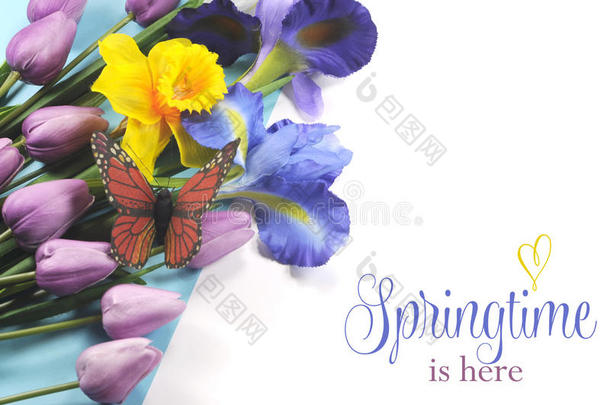 春天是这里的例子文本在白色的背景和春天的花朵