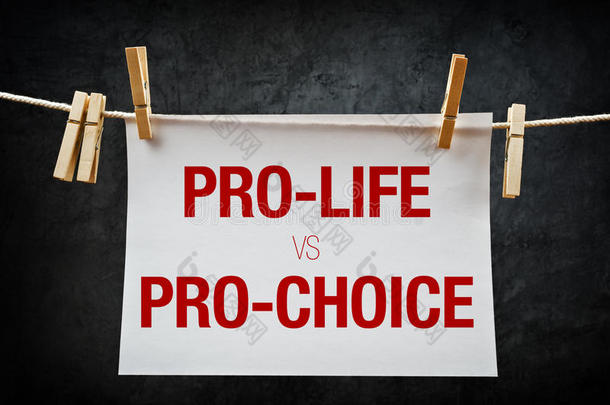 支持生命与支持选择，堕胎概念