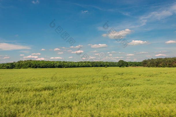 德国陶艺场晚春初夏景观