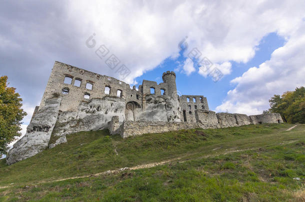 奥格罗兹涅克城堡