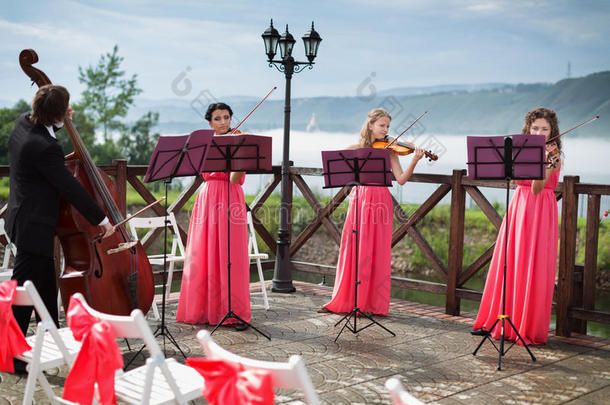 在婚礼上演奏的古典音乐家四重奏