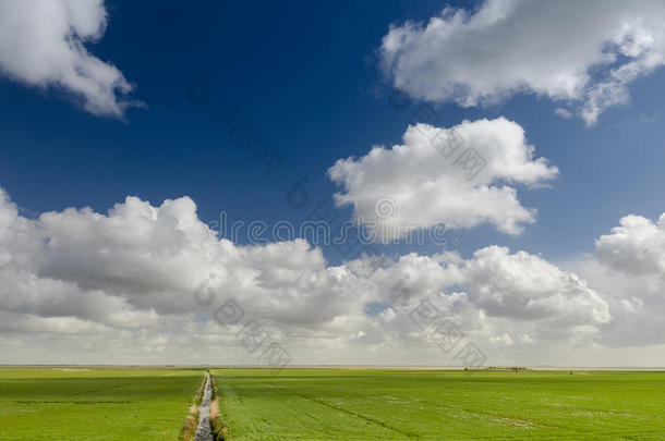 荷兰美丽的牧场景观，有典型的荷兰云朵