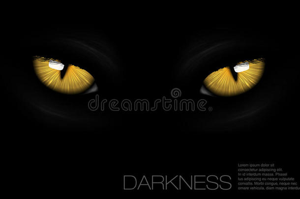黑暗中的猫眼