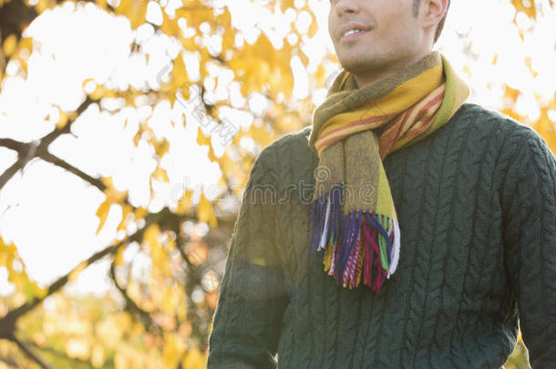 秋天公园里穿着毛衣和围巾的男人的腹部
